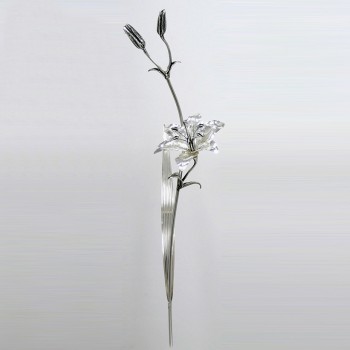 Lilium argento
