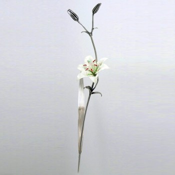 Lilium argento Bianco
